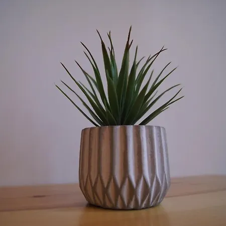 Апартаменти Le Petit Capoine 3 - T2 En Plein Centre De Каркассонн