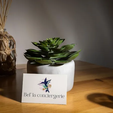 Le Petit Capoine 3 - T2 En Plein Centre De