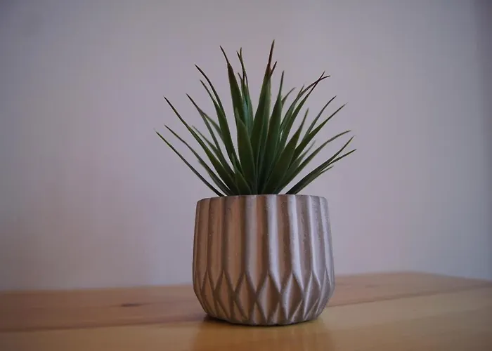 شقة Le Petit Capoine 3 - T2 En Plein Centre De قرقشونه