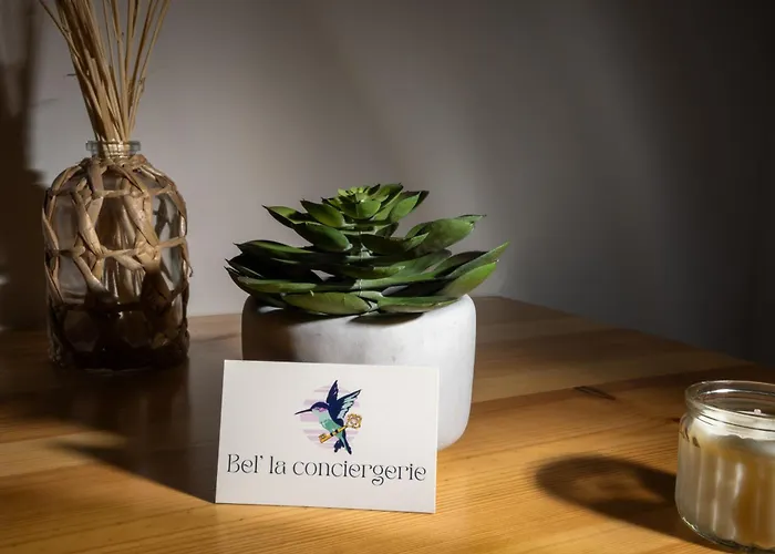 Le Petit Capoine 3 - T2 En Plein Centre De